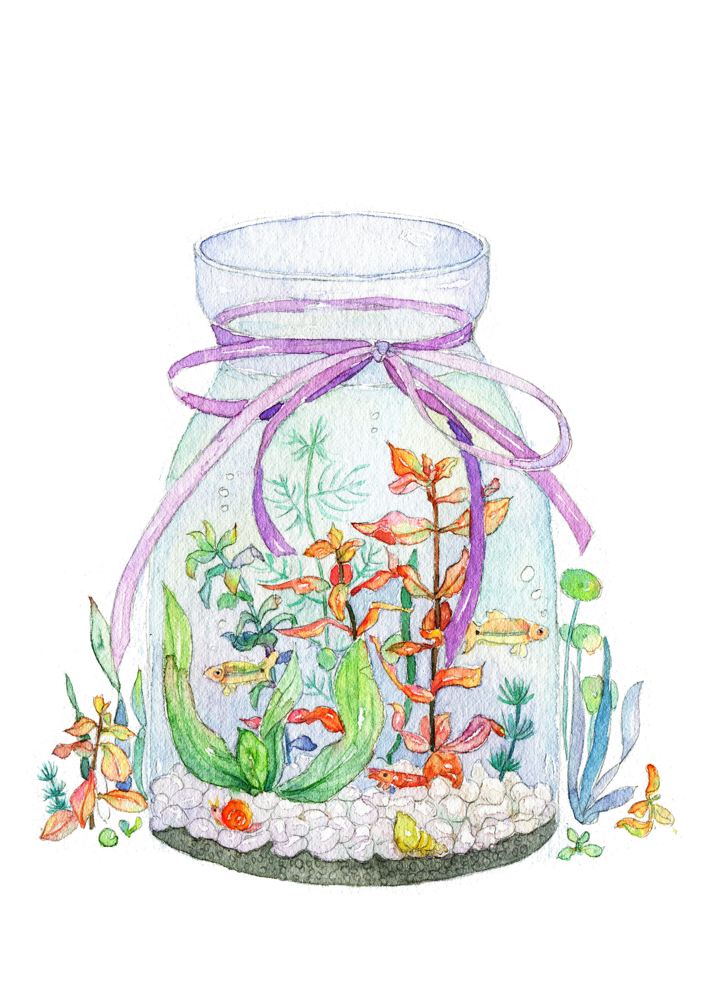 瓶中的小世界|插画|商业插画|泷艺的插画小镇 - 原创作品 - 站酷