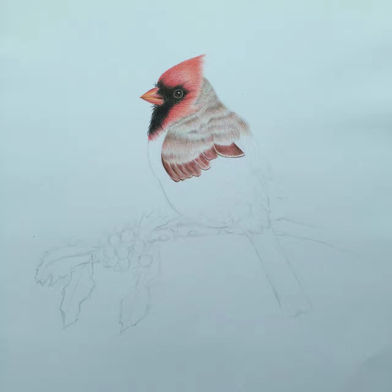 【彩铅作品】小鸟（图ZMTA5NjY5OTIw） - 创作习作 - 站酷设计师夏华刺青原创素材 - 站酷ZCOOL