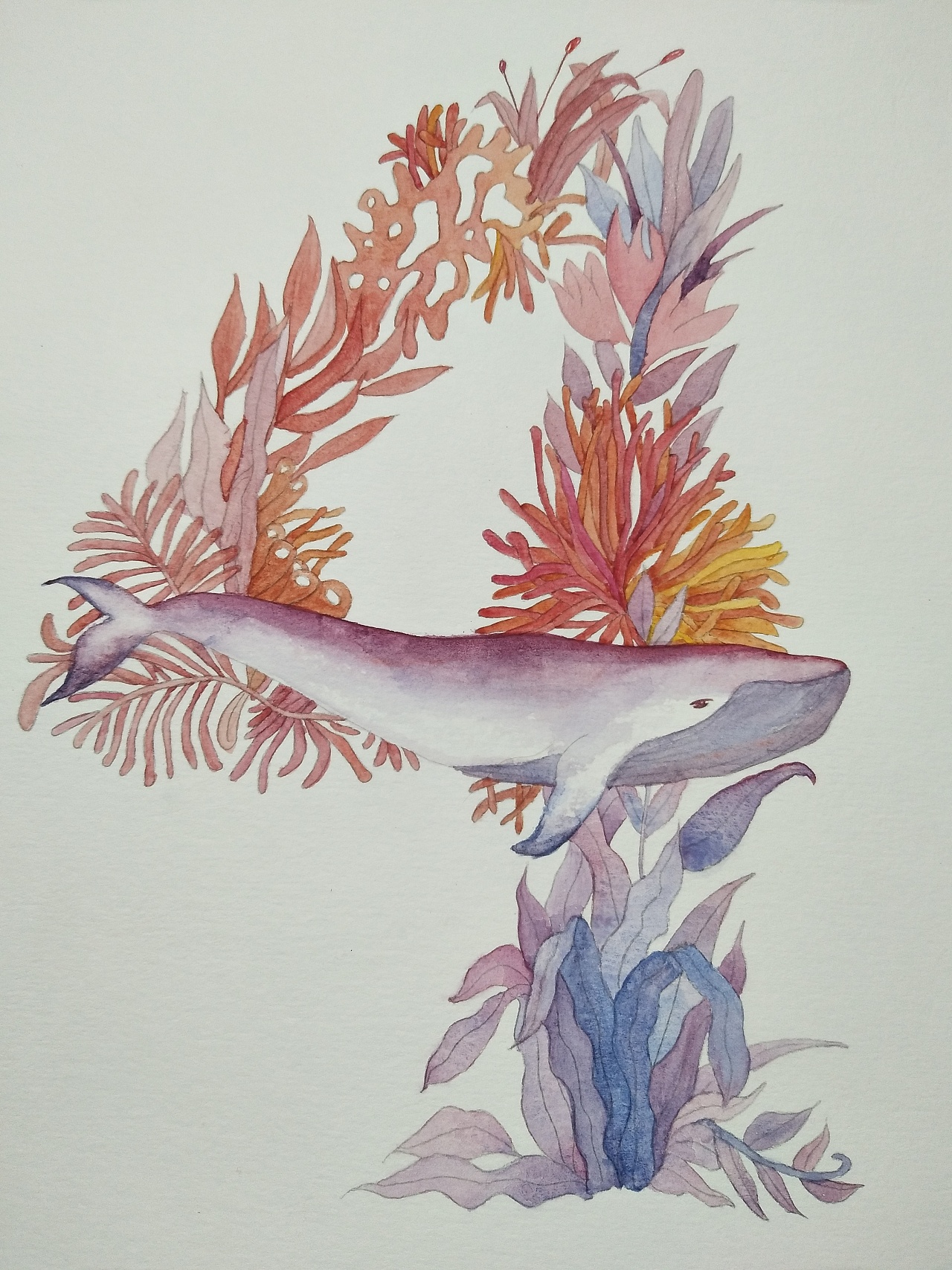 唯美手绘插画鲸鱼水彩 搜狗图片搜索