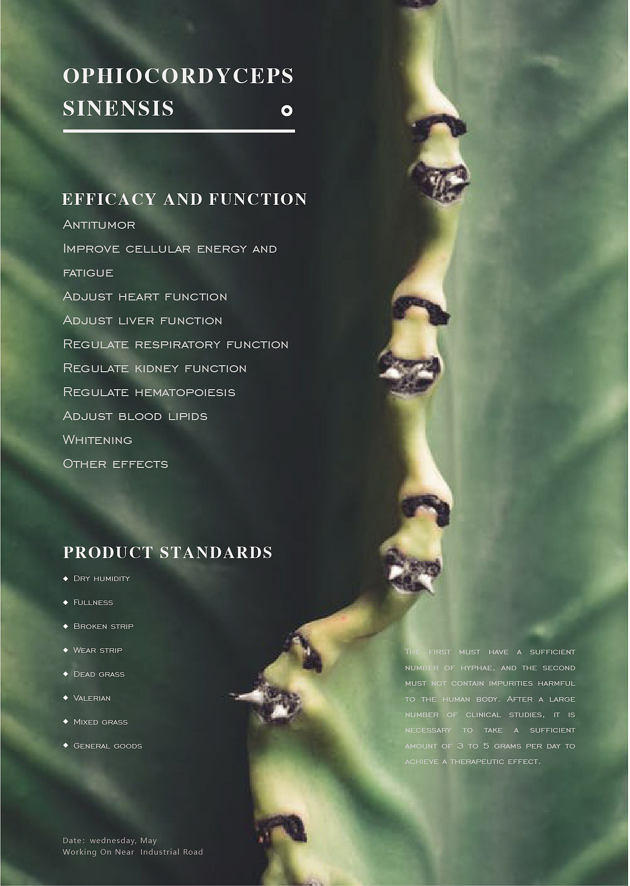 一组英文左右对称海报