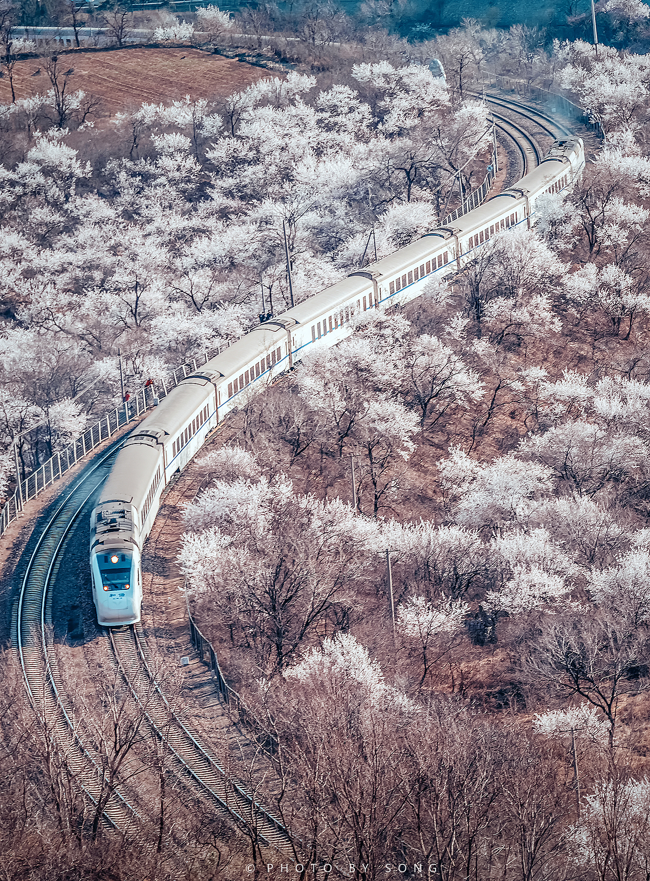 开往春天的火车（图ZMjkzMTQ4Mjg0） - 风光摄影 - 站酷设计师Vincent_Song原创素材 - 站酷ZCOOL