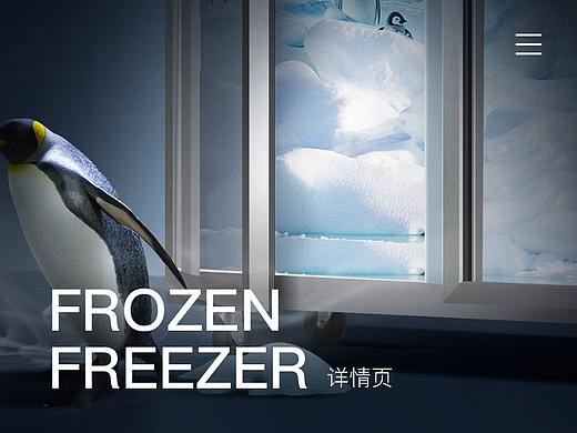 澳柯玛商用展示柜-详情设计