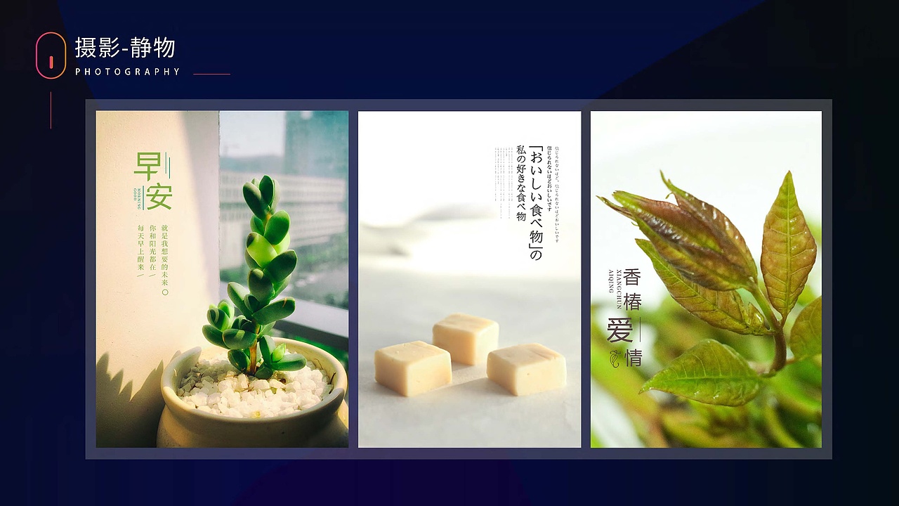 杉木-【个人作品合集】（图ZMjAyNjE4ODk2） - 宣传物料 - 站酷设计师杉木大人原创素材 - 站酷ZCOOL