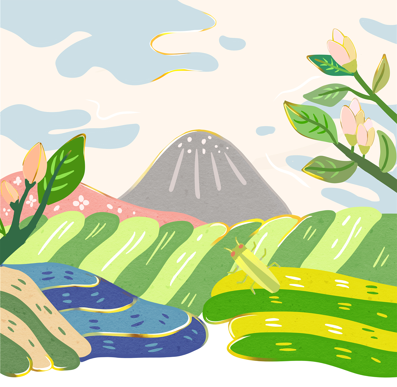 茶叶-插画包装设计