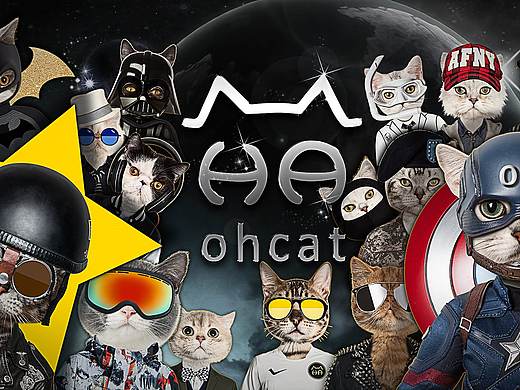 ohcat品牌形象展示