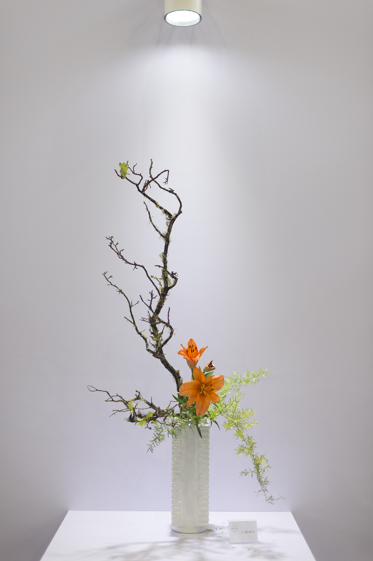 「旖花の語」花道展（圖ZNTc3OTQyMDQ=） - 舞臺美術 - 站酷設計師IrisVision原創(chuàng)素材 - 站酷ZCOOL