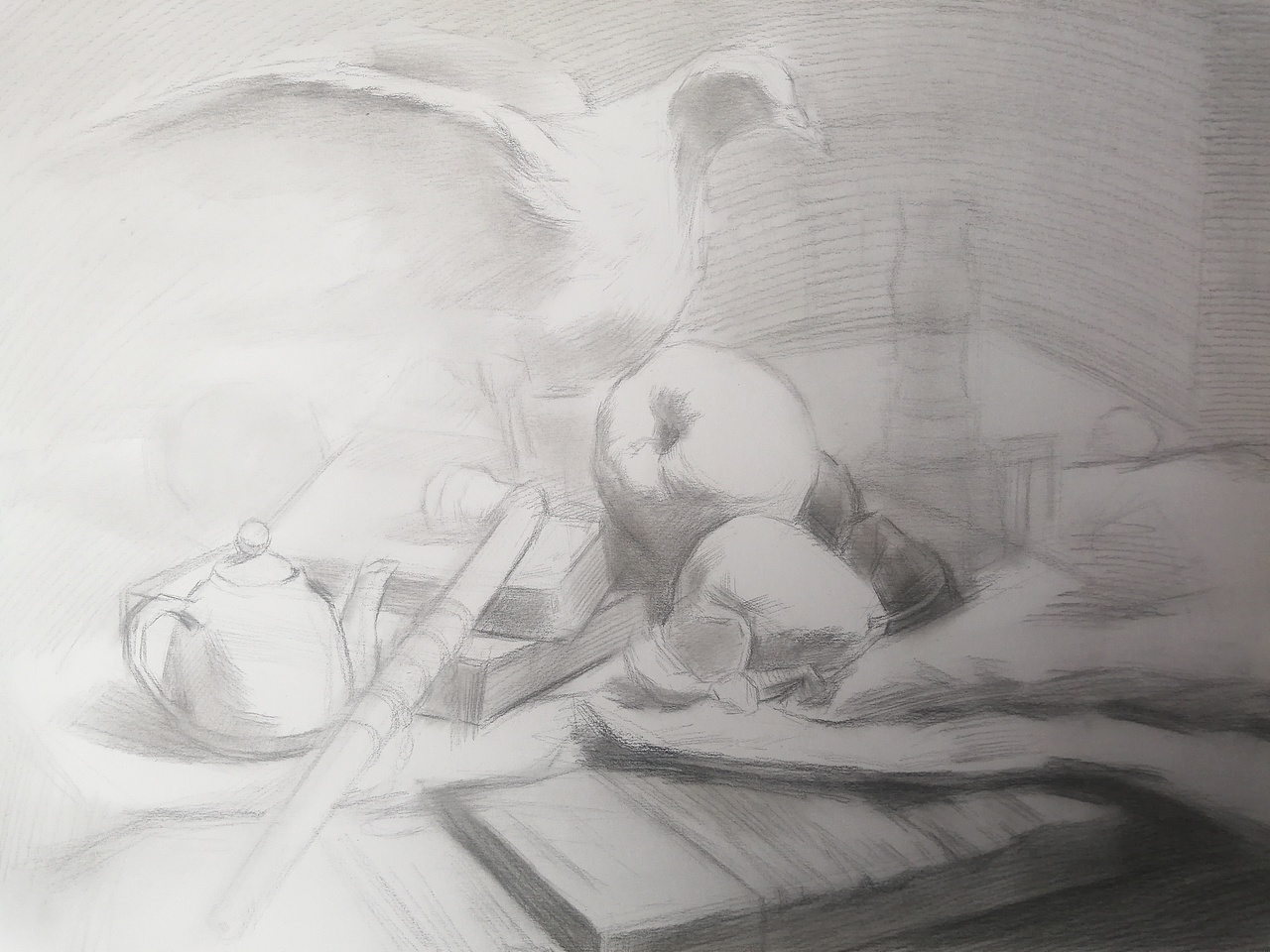 素描静物鸽子