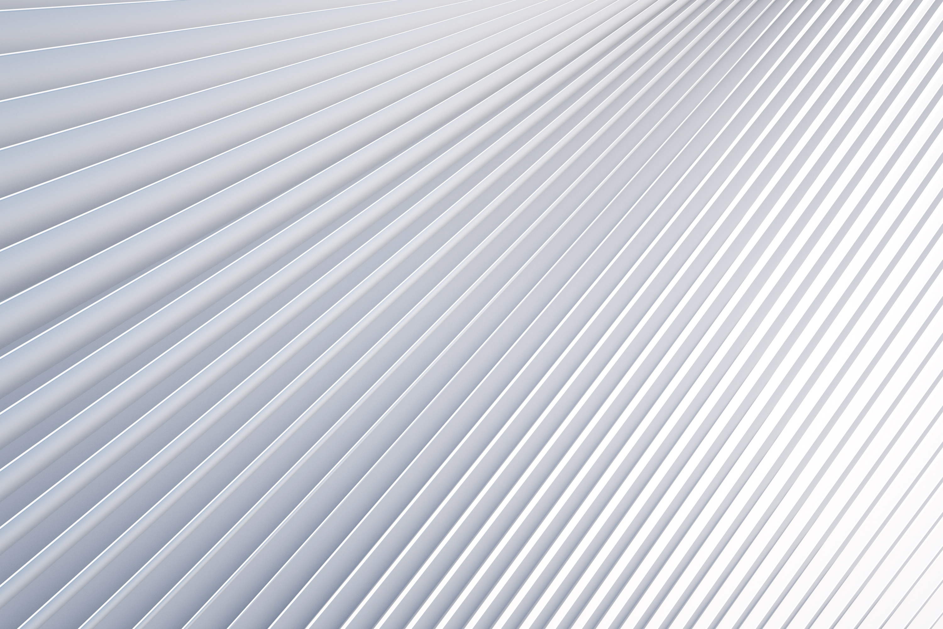 七野芝的個(gè)人主頁(yè)（封面預(yù)覽） - 主頁(yè)封面設(shè)置 - 站酷設(shè)計(jì)師七野芝原創(chuàng)素材 - 站酷ZCOOL