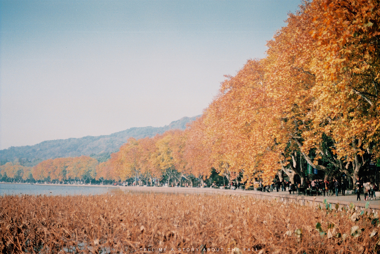 讲一个秋天的故事