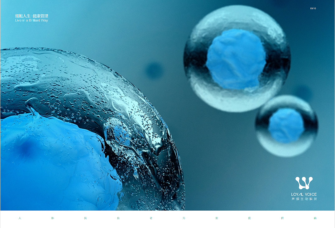 医疗健康画册（图ZMjA0Nzg2NDk2） - 书籍/画册 - 站酷设计师XU小鱼设计原创素材 - 站酷ZCOOL