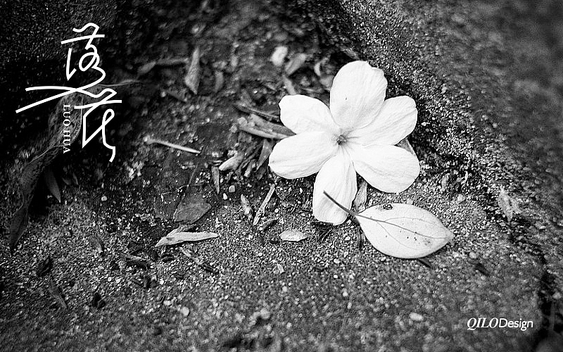 近期的几组字体设计6