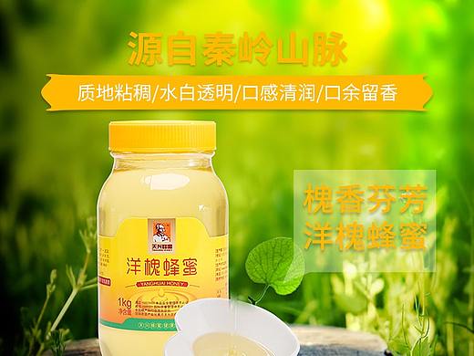 天兴蜂蜜  洋槐蜂蜜
