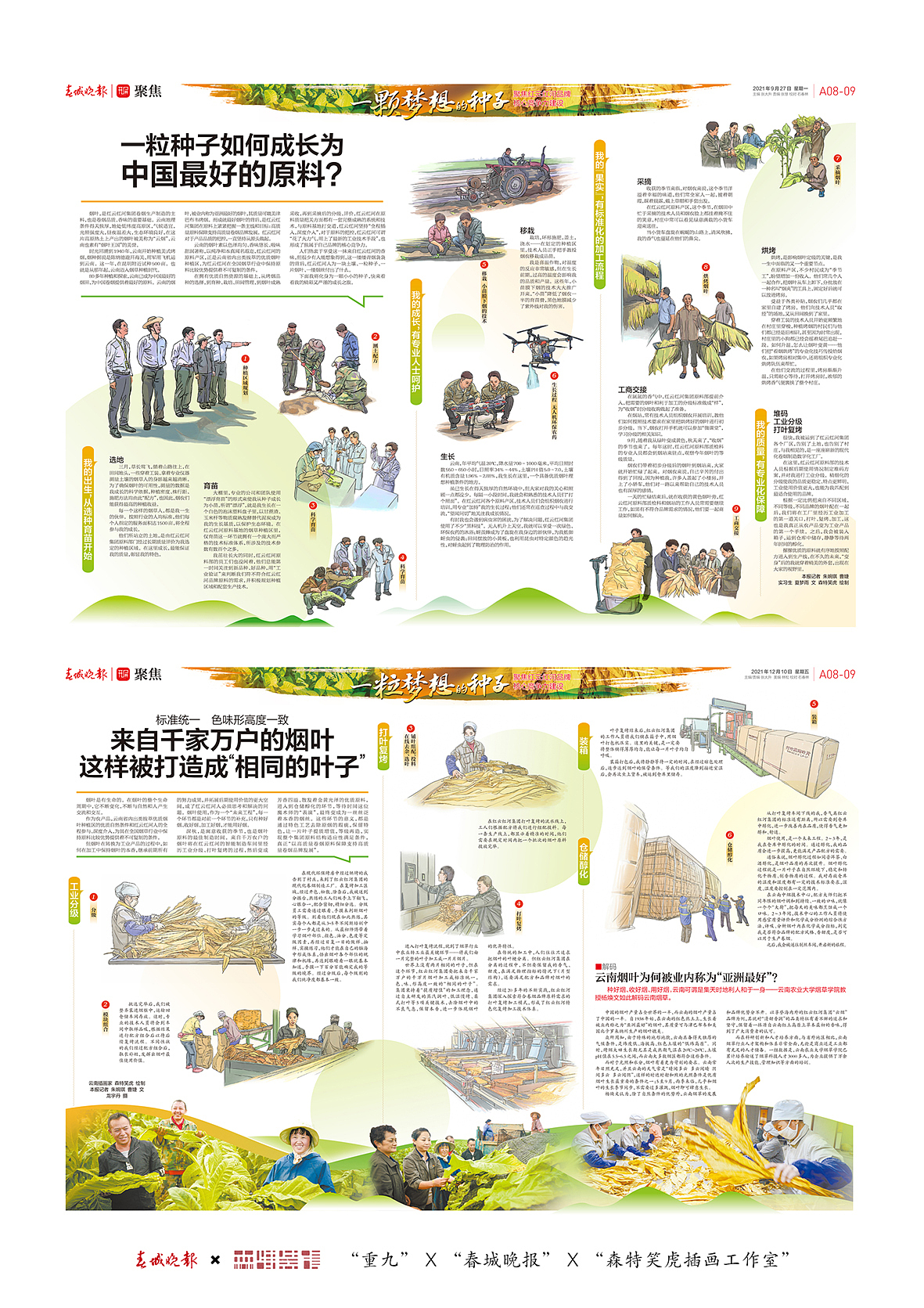 《一颗种子的梦想》登报专刊系列插画绘制（图ZMjg1NzU5OTQ0） - 商业插画 - 站酷设计师森特笑虎原创素材 - 站酷ZCOOL