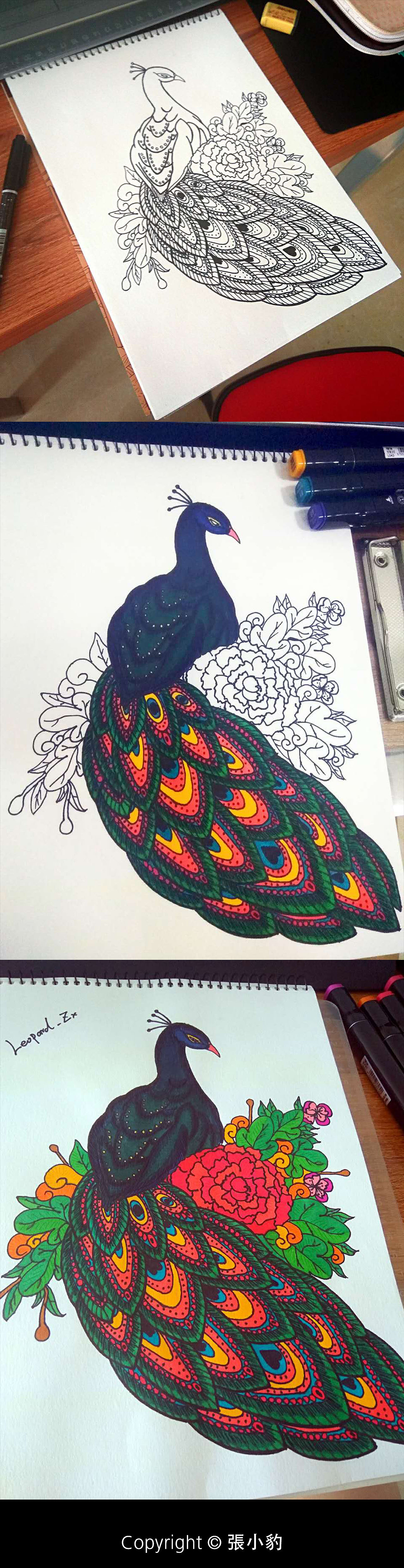 绘画练习---孔雀（图ZNjA2NDYxMjQ=） - 创作习作 - 站酷设计师張小豹原创素材 - 站酷ZCOOL