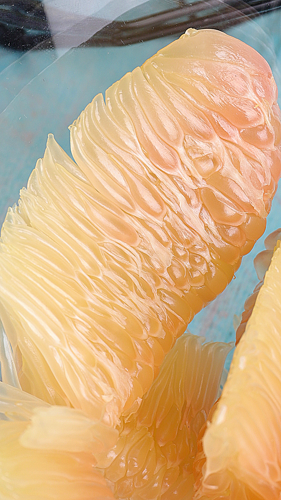 水果拍摄-泰国红心柚子