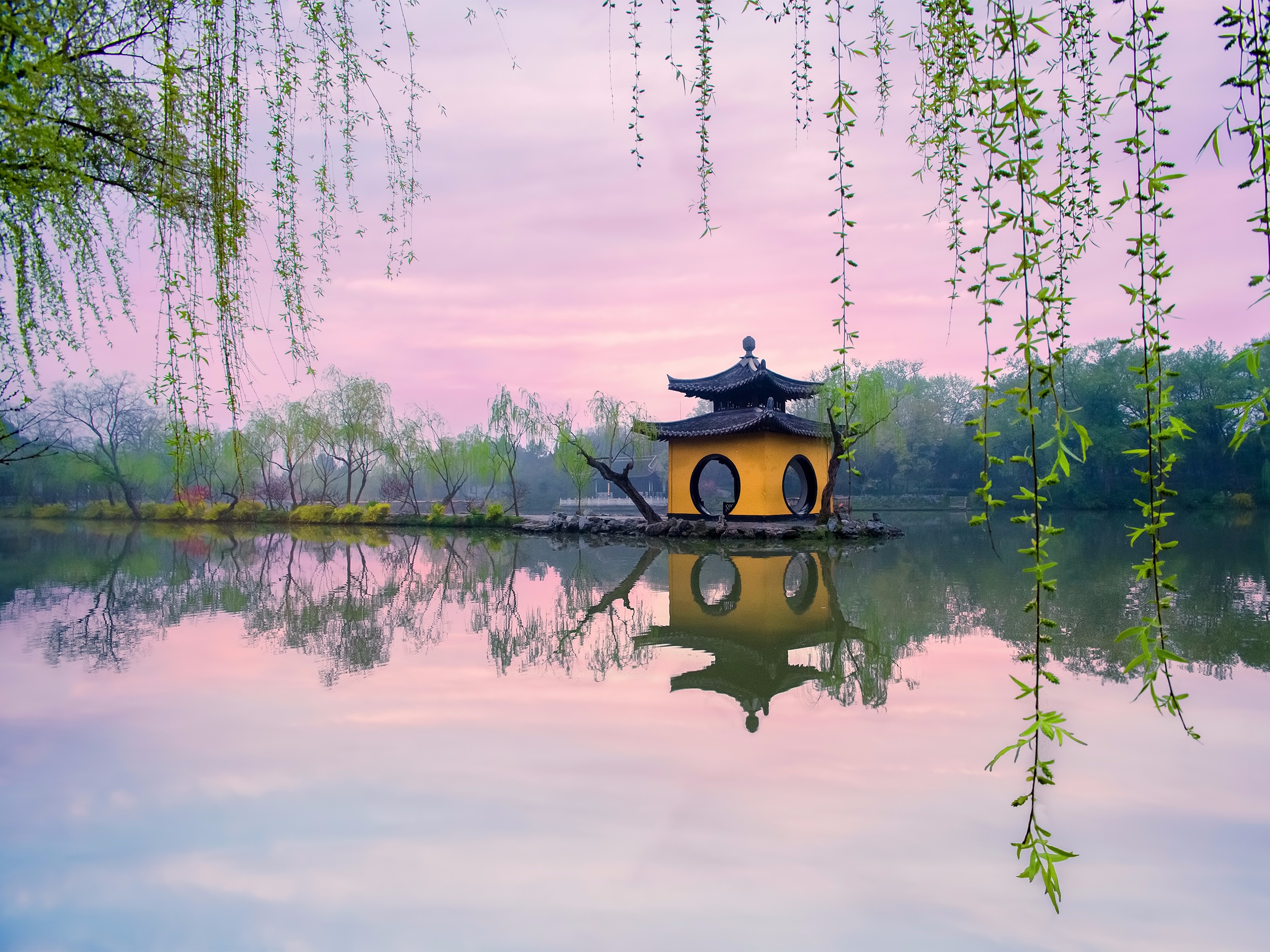 由杭州西湖文化风景的杨柳 库存图片. 图片 包括有 视图, 湖泊, 风景, 户外, 远景, 自然, 汉语 - 84708011