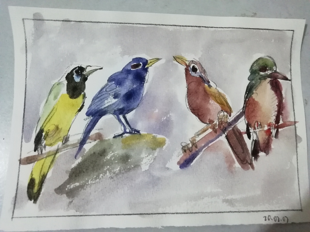 20.03.13水彩—鸟作品
