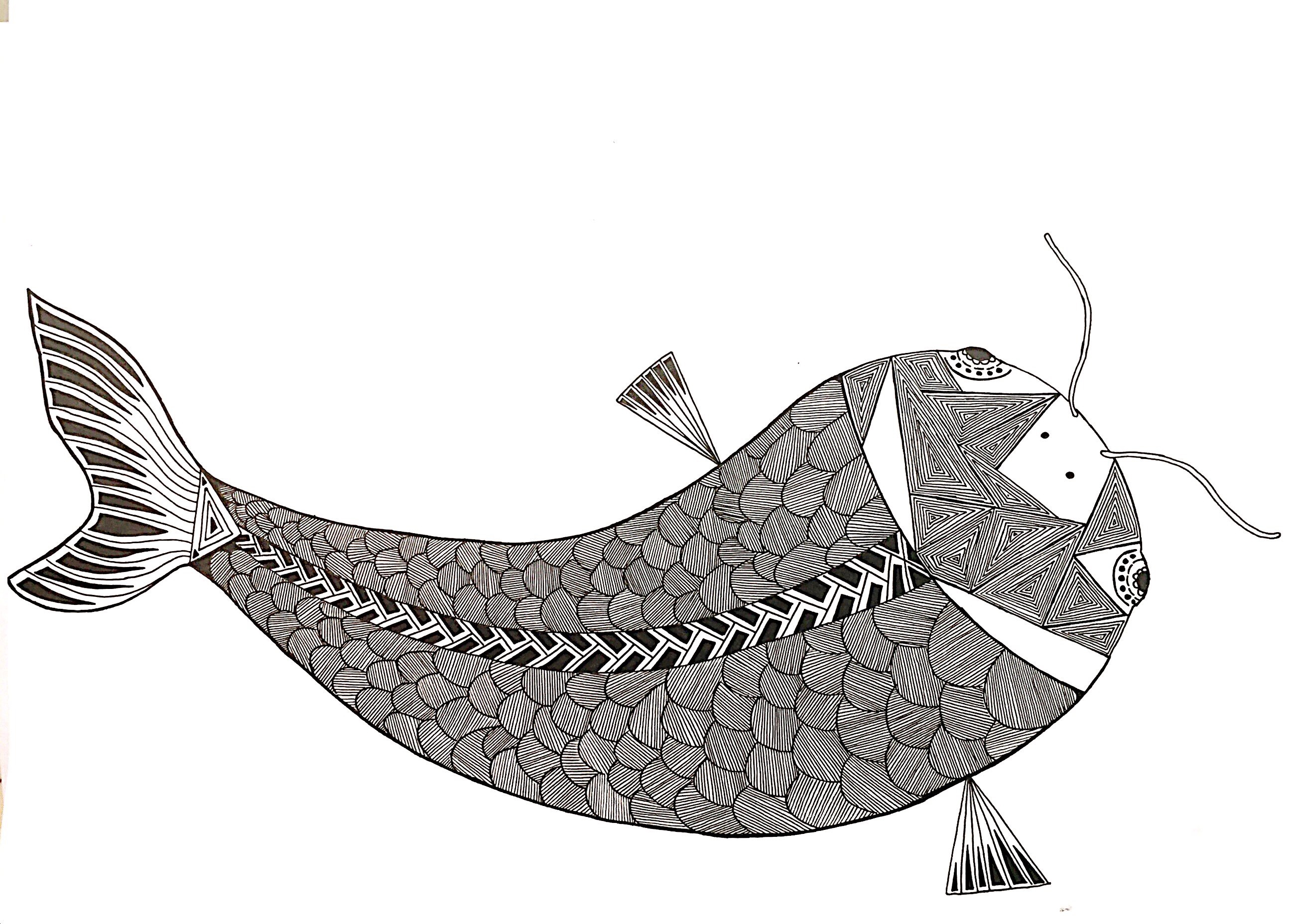 北冥有鱼,其名为鲲.