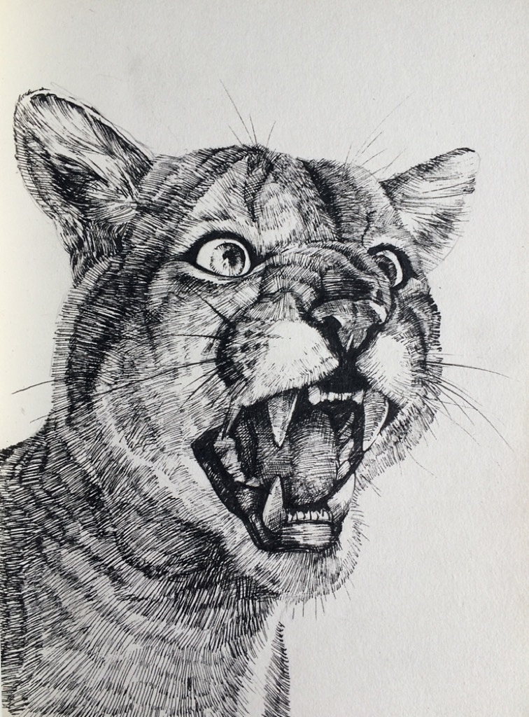 动物钢笔彩绘|纯艺术|绘画|luni_原创作品-站酷zcool