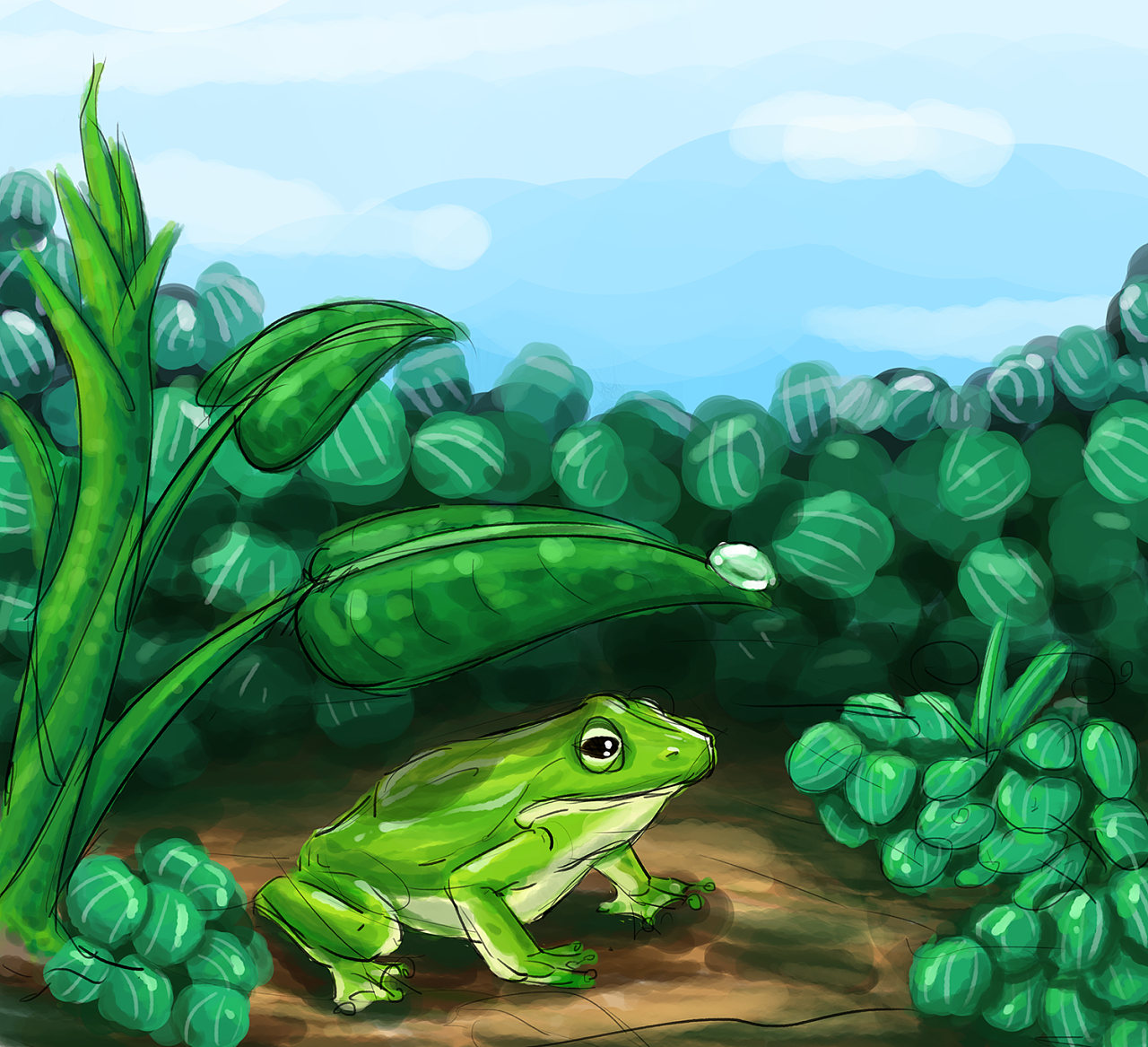 daydraw.com网站每日赛事