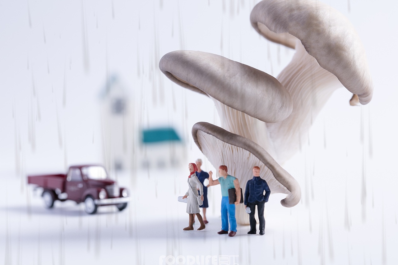 微观摄影-火锅食材-创意商业拍摄（图ZMTAxMTg0NzA4） - 产品摄影 - 站酷设计师食术原创素材 - 站酷ZCOOL