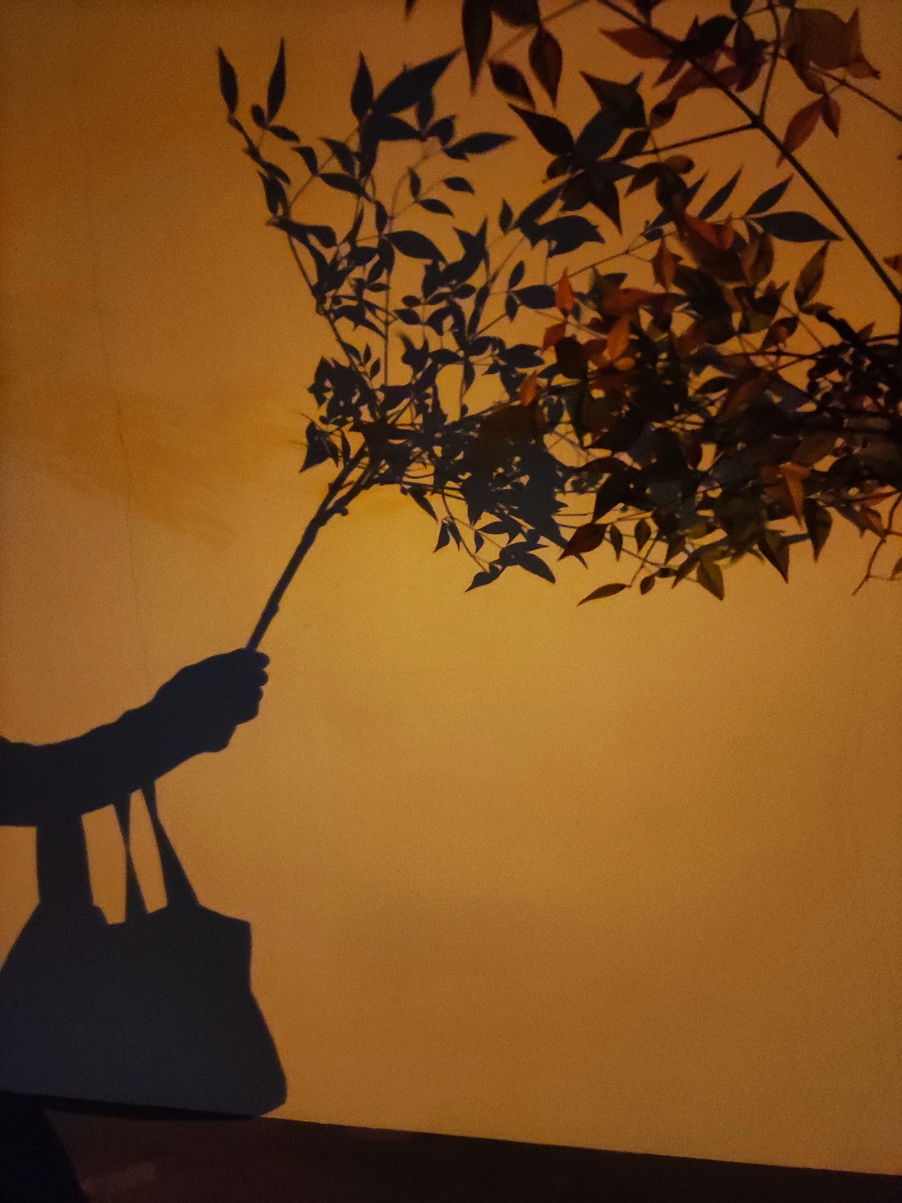 手机摄影6（图ZMjQyMDQyMjY4） - 产品摄影 - 站酷设计师191436255原创素材 - 站酷ZCOOL