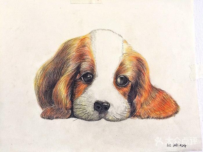 北京成人画室_记住【梵高之路】就行