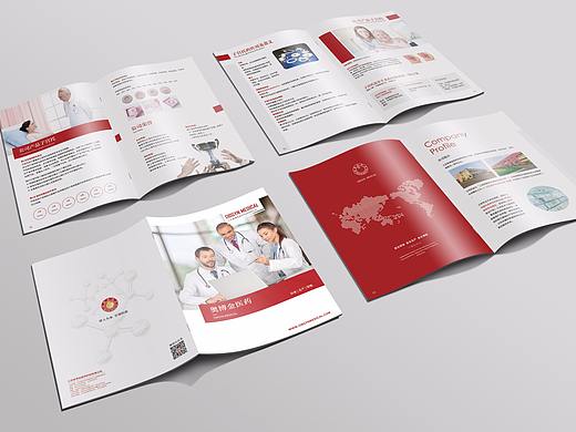 医疗器械宣传册 排版 企业画册 产品目录 CATALOG 简约