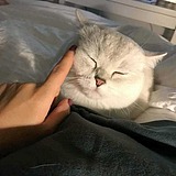 我头发超多的的头像