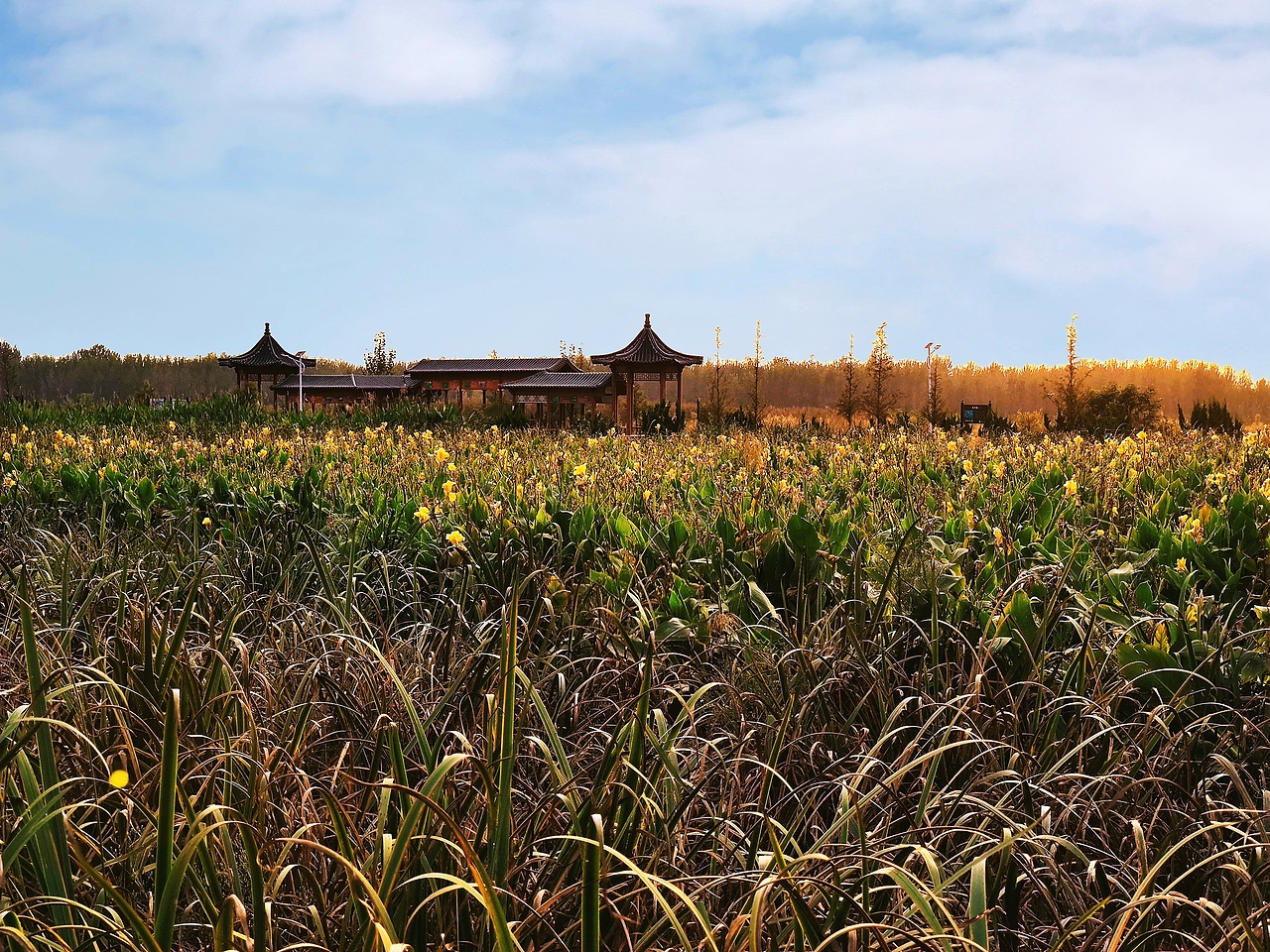 手机摄影（图ZMjI1ODI0MjA4） - 风光摄影 - 站酷设计师OldMen郑斌原创素材 - 站酷ZCOOL