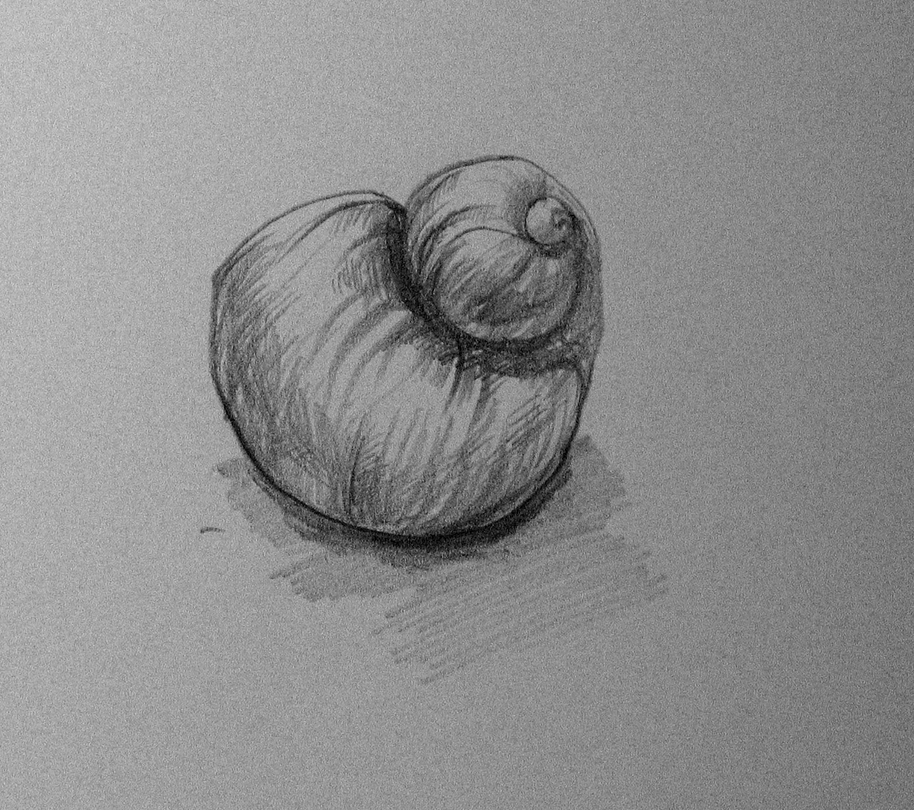 由螺蛳想到的一些玩意儿(手绘)创作7粉丝6019创作5粉丝3065创作13粉丝