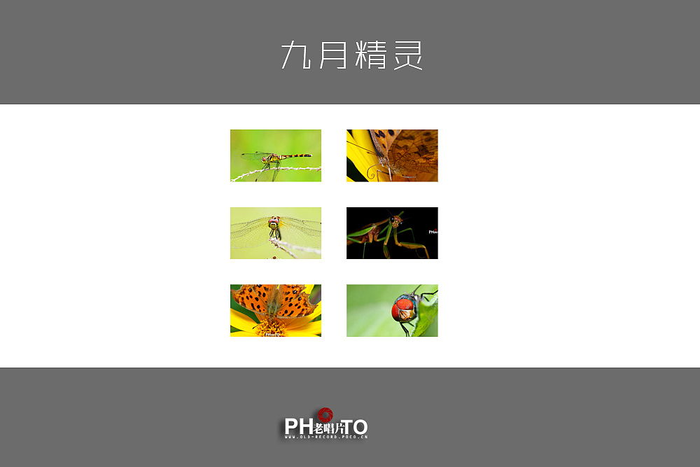 九月精灵（图ZNjk2NzUyMA==） - 风光摄影 - 站酷设计师老唱片原创素材 - 站酷ZCOOL