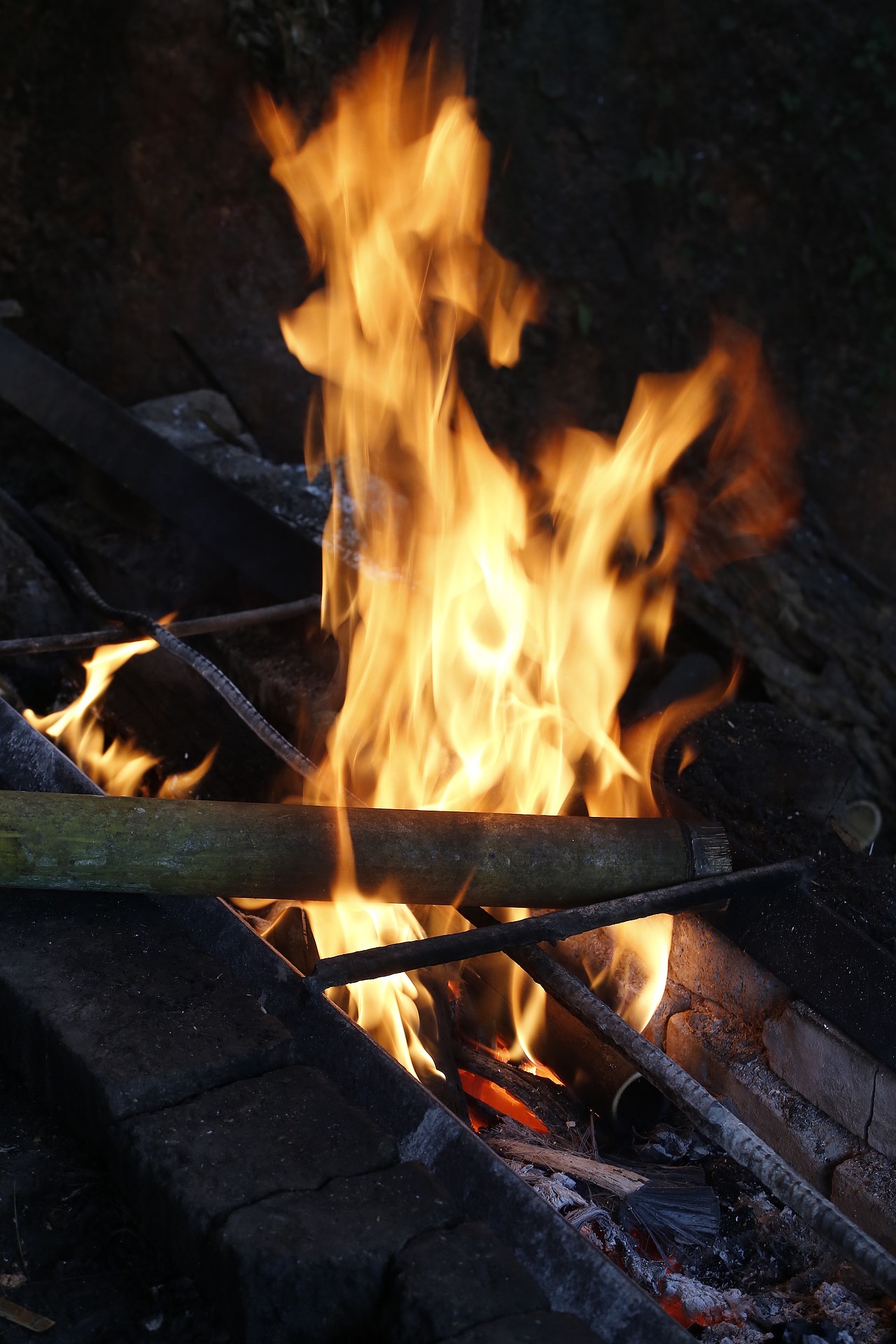 容品牌:雨林古茶坊 - 天猫店产品策划&茶包装设计