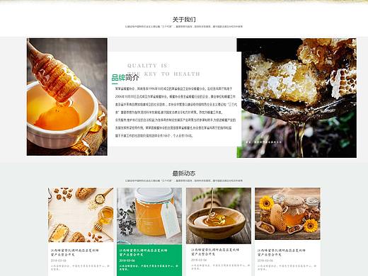 蜂蜜（个人主页-ZMzU2NzI2NDA=） - 企业官网 - 站酷设计师萧俊杰原创素材 - 站酷ZCOOL