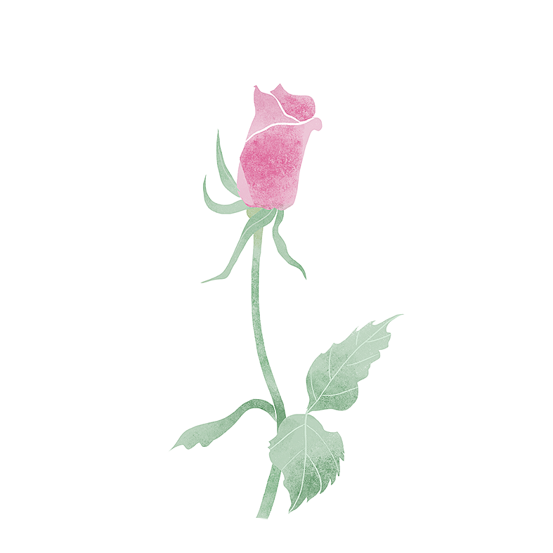 植物100绘(100/30)