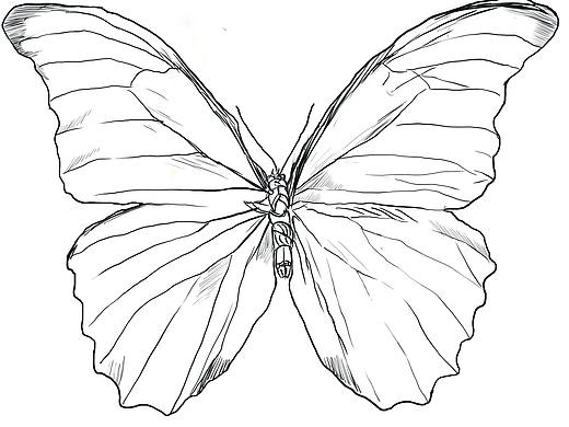 FERNANDA/學生時期草稿（個人主頁-ZMzQyOTA3Mjg=） - 其他平面 - 站酷設計師Richger原創(chuàng)素材 - 站酷ZCOOL