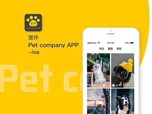 宠物app