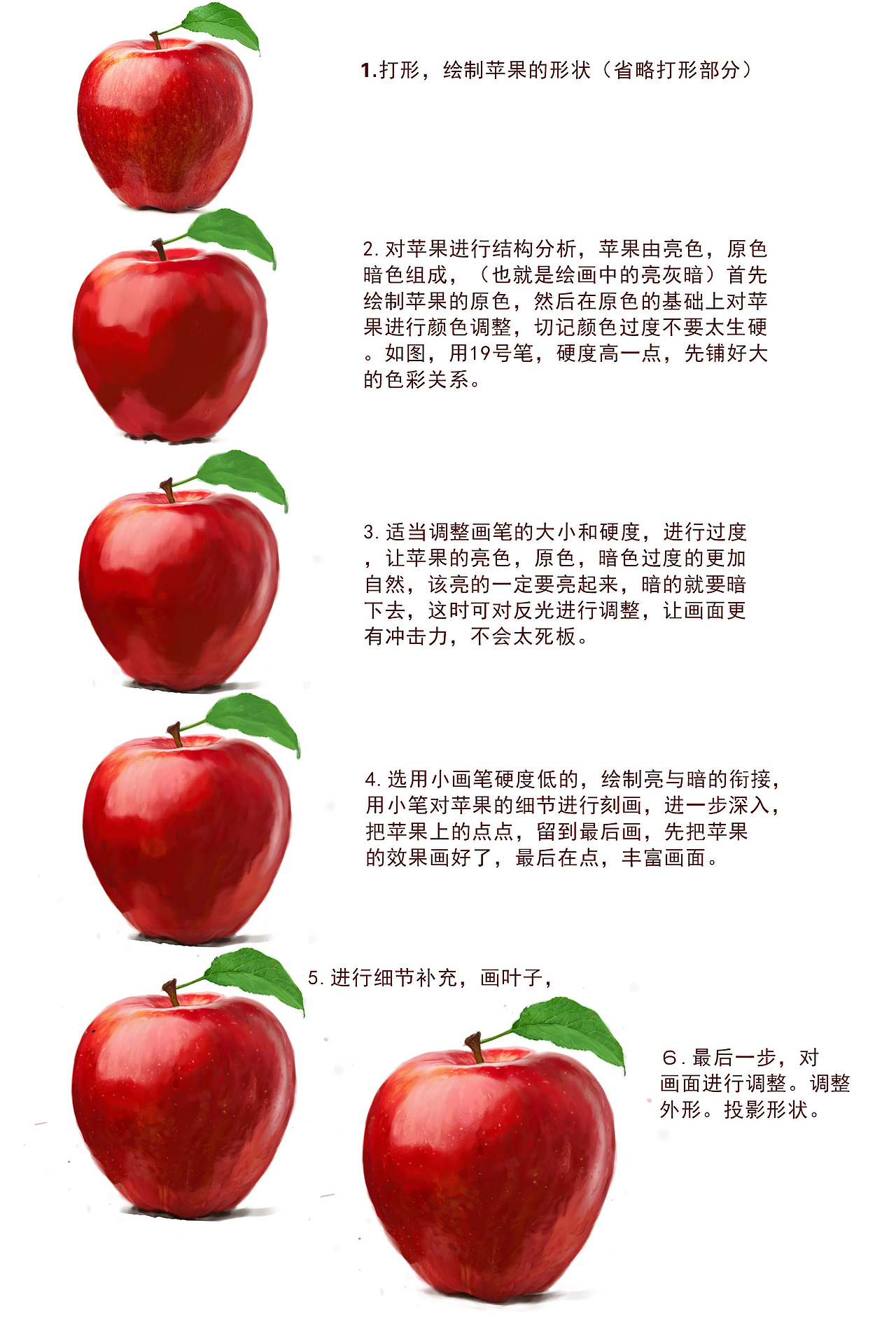 手绘写实绘画动物食物苹果松鼠汉堡色彩细节教程