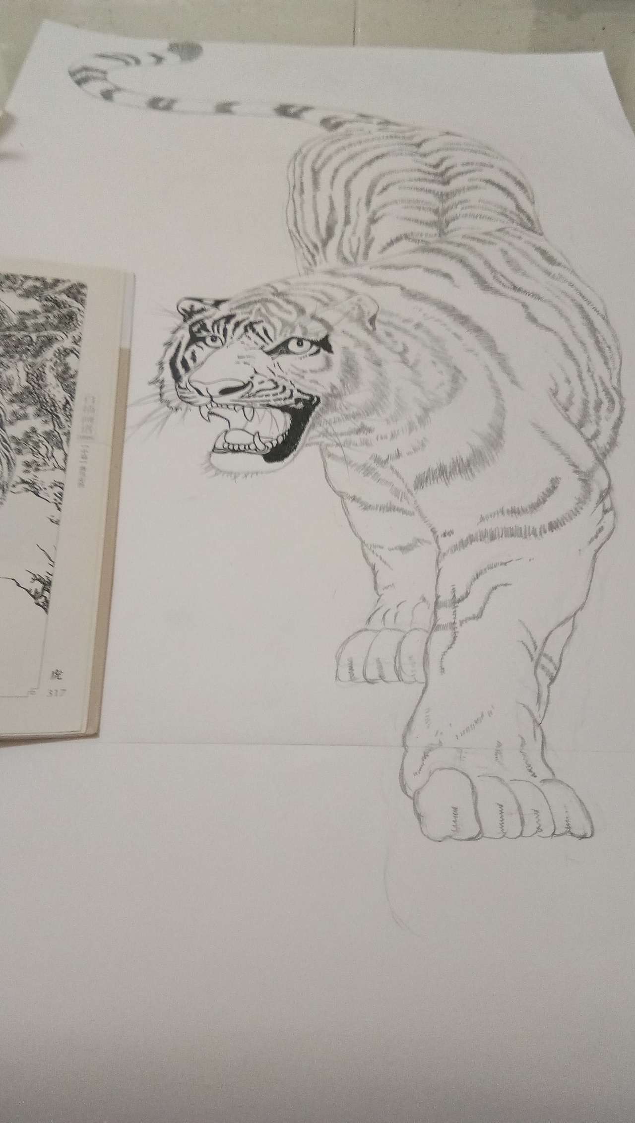 日常白描练习（图ZMTg1MzEyNjY0） - 绘画 - 站酷设计师你微笑时好美tcl原创素材 - 站酷ZCOOL