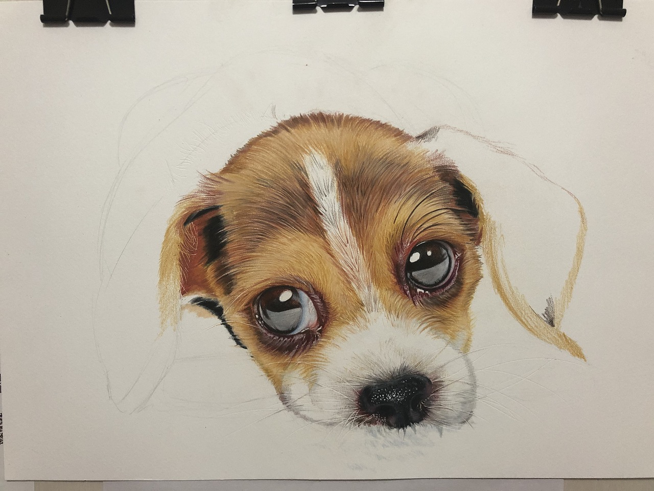 小狗狗（图ZMjMxNjg0ODA4） - 绘画 - 站酷设计师lllldddda原创素材 - 站酷ZCOOL