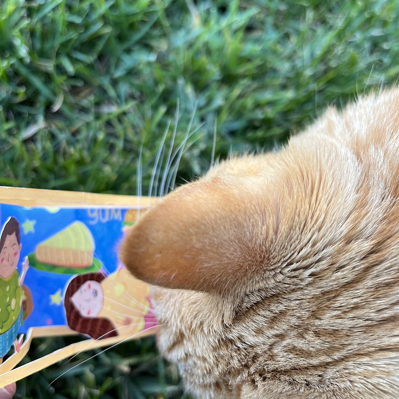 Hoodie，Cutie and Mochi手工立体书（图ZMjgzODkwNjMy） - 绘本 - 站酷设计师cadielong原创素材 - 站酷ZCOOL