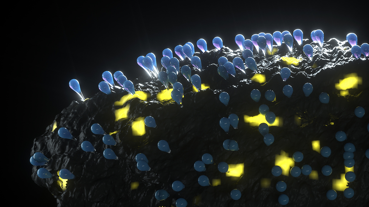 OC渲染器学习（图ZMTQwOTQ2OTA4） - 场景 - 站酷设计师光线追踪原创素材 - 站酷ZCOOL