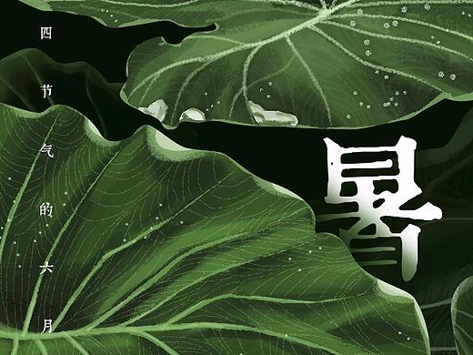 【小暑】七月七，小暑至（个人主页-ZMzcwNjcyMjA=） - 海报 - 站酷设计师有猫的满满原创素材 - 站酷ZCOOL