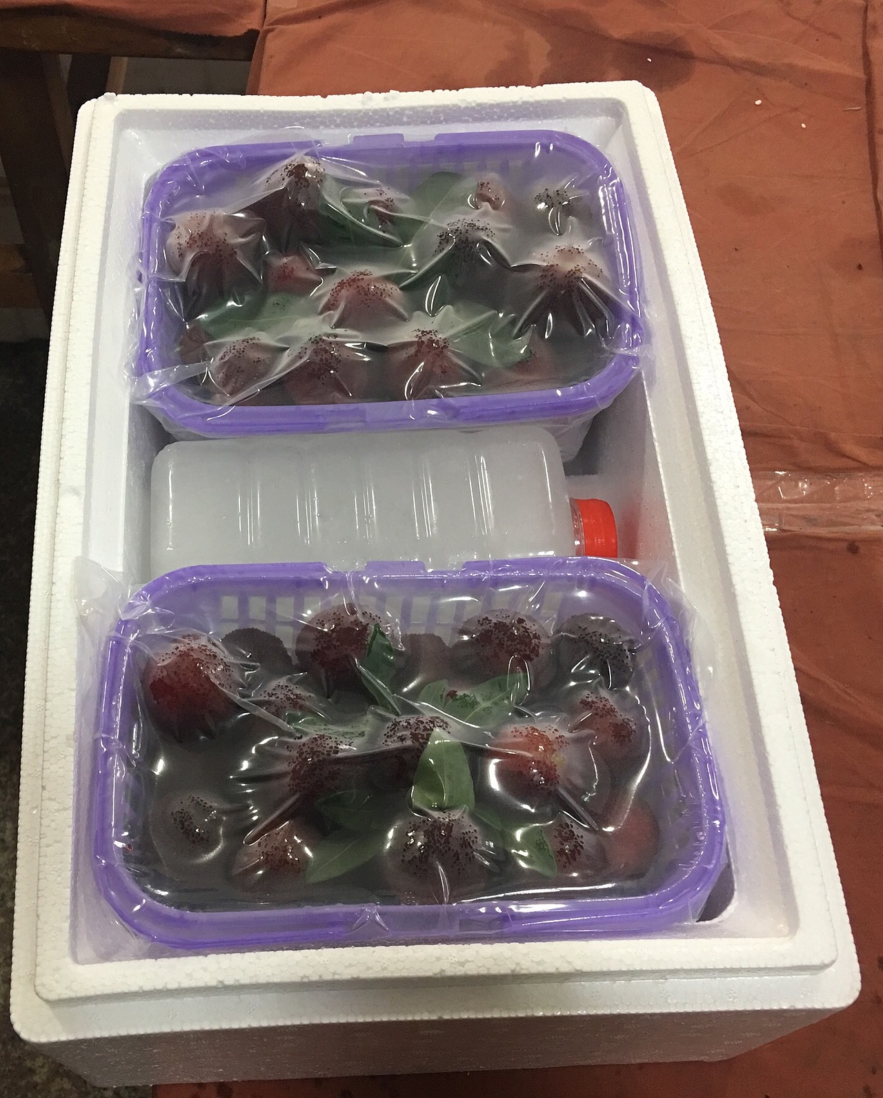 杨梅（图ZMjEwNDEwOTcy） - 产品摄影 - 站酷设计师仙居东魁杨梅原创素材 - 站酷ZCOOL