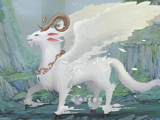 白泽