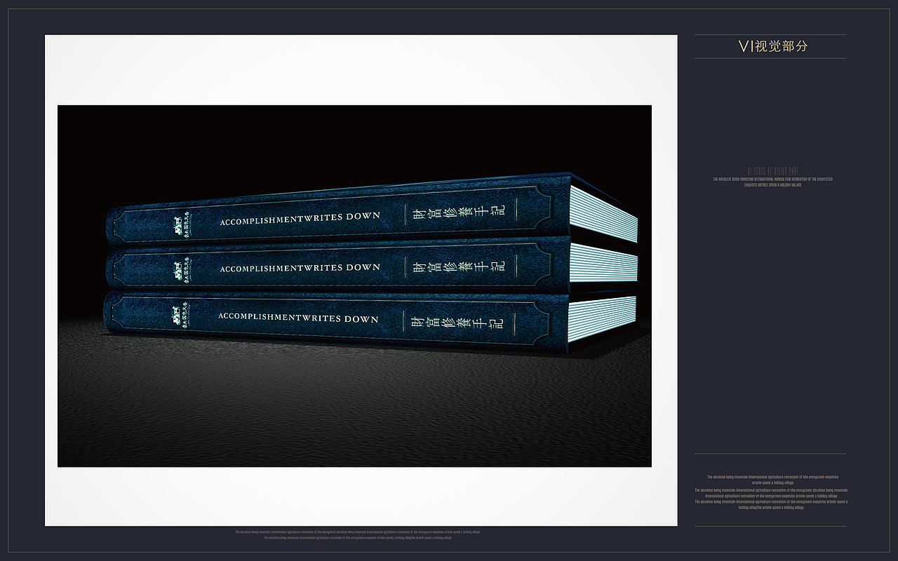 国色天香别墅项目VI设计方案B