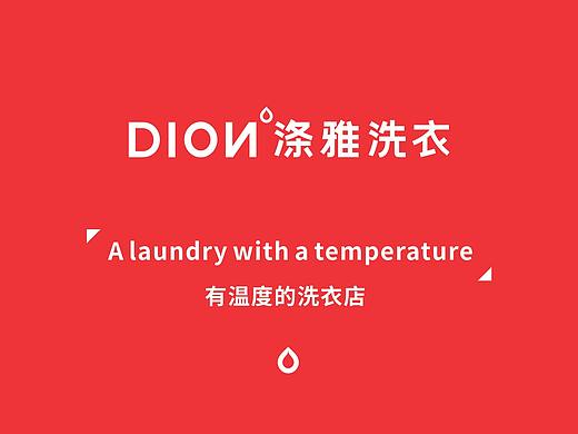 Dion 涤雅洗衣