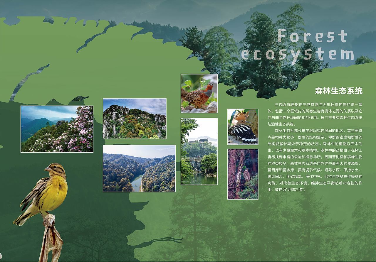 汀江源自然教育馆（图ZMjcyMTg4MTI0） - 其他平面 - 站酷设计师酷酷的大沈原创素材 - 站酷ZCOOL