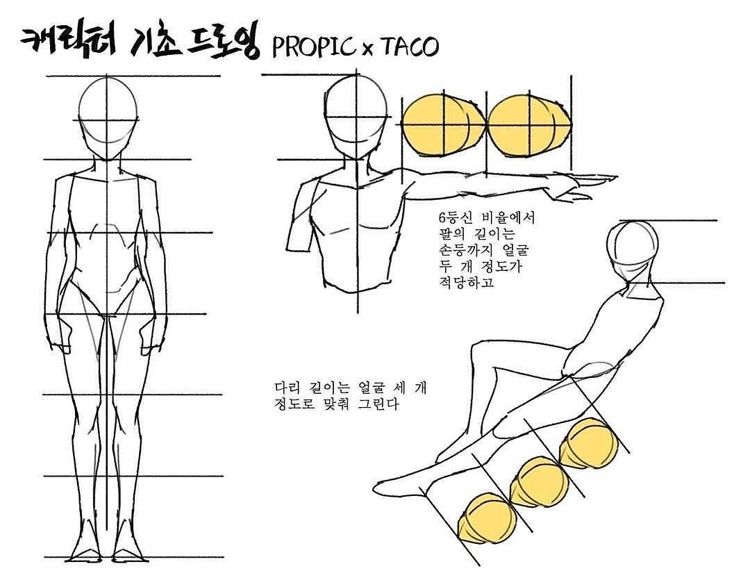 国美考研 | 插漫人体比例结构
