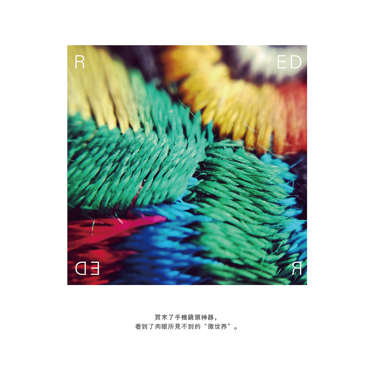 她用手机记录生活